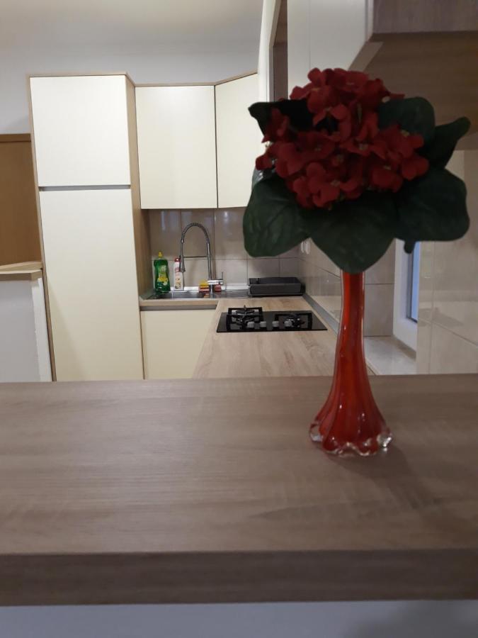 Apartmani I Soba Andrijasevic 마카르스카 외부 사진